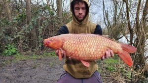 Elm Tree Farm Fishery