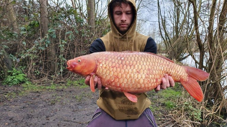 Elm Tree Farm Fishery